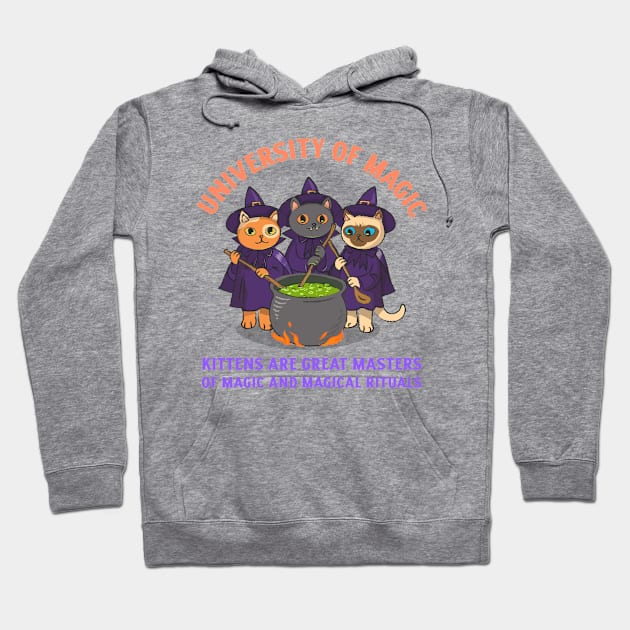 University of Magic / Kittens are great masters of magic / Halloween Hoodie by Vladimir Zevenckih